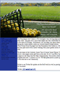 Mobile Screenshot of foundationgolfcenter.com